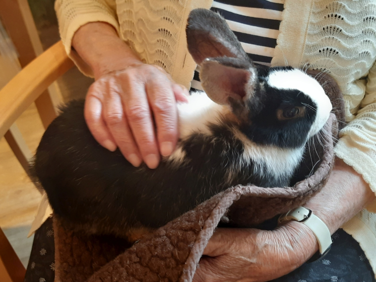 Plauderstunde Spinnrad 3